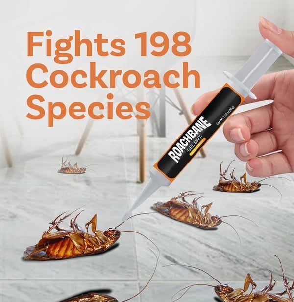 🔥Išpardavimas 49% nuolaida🔥RoachBane Gel Masalas (nauja patobulinta formulė)