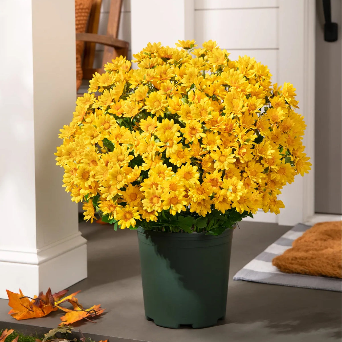 ⚡Paskutinė diena 70% NUOLAIDA🌼Sveiki ruduo – dirbtinės gėlės Lauko saulėlydis mamoms – atsparus UV spinduliams, atsparus vandeniui, vėjo nepralaidus